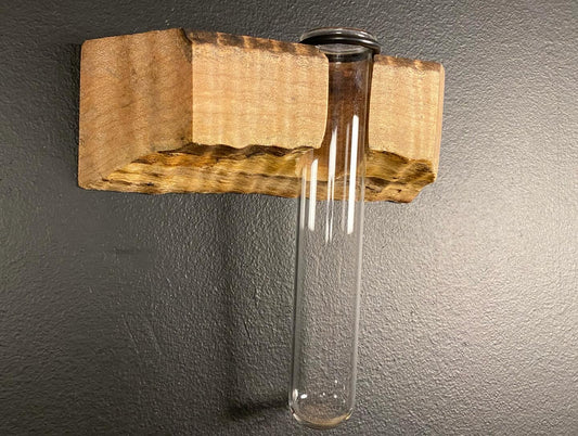 Single Flame Maple Propagation Station