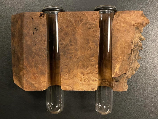 Double Walnut Burl Propagation Station