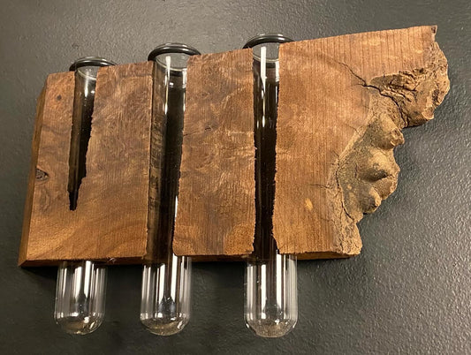 Triple Walnut Burl Propogation Station